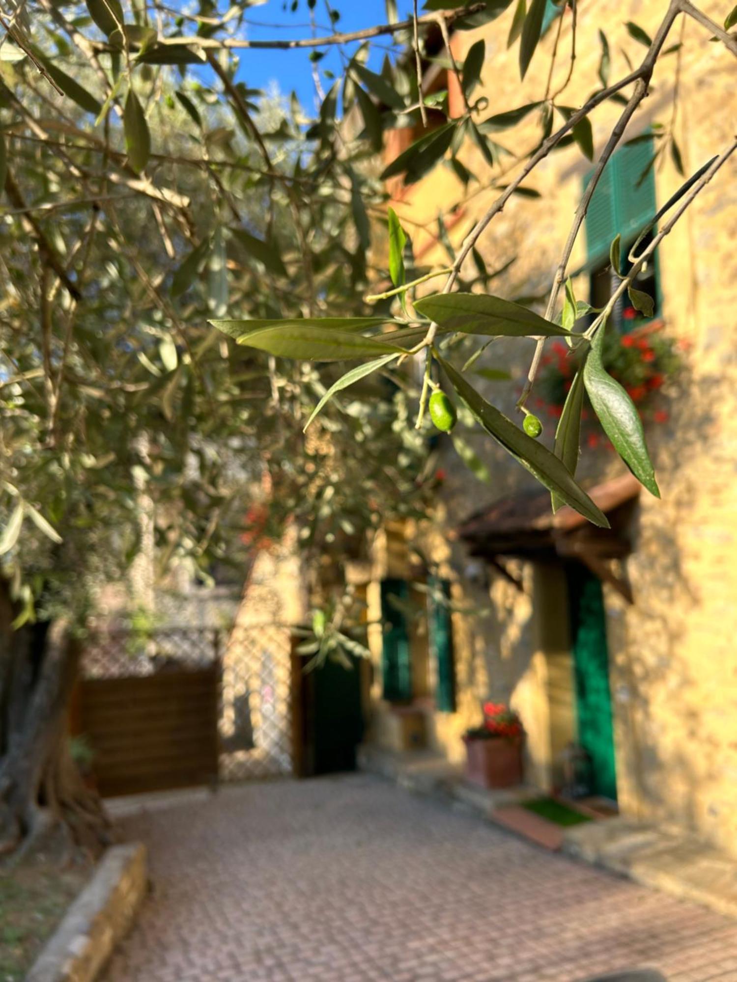 Casa Margot Apartman Garlenda Kültér fotó