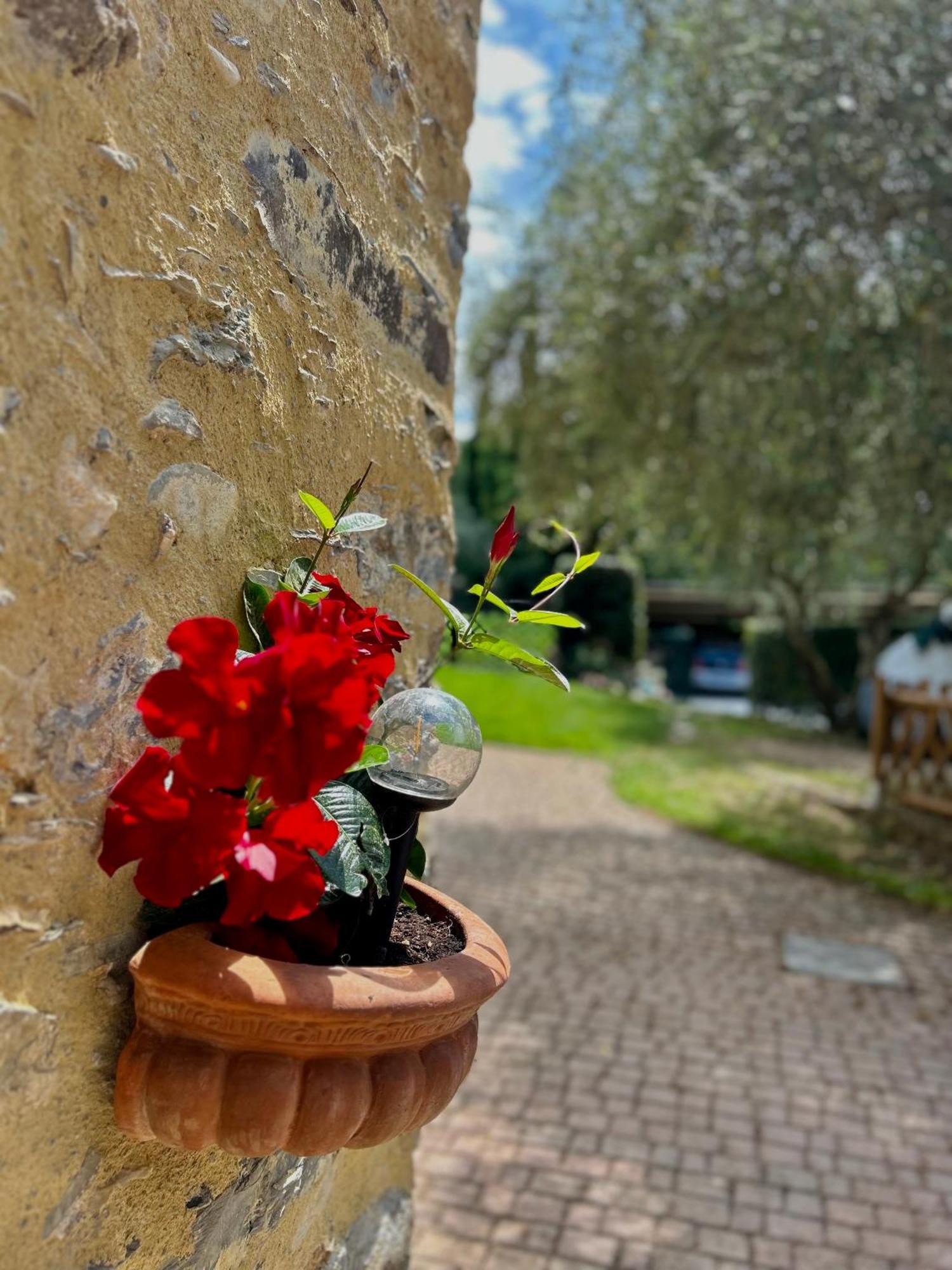 Casa Margot Apartman Garlenda Kültér fotó